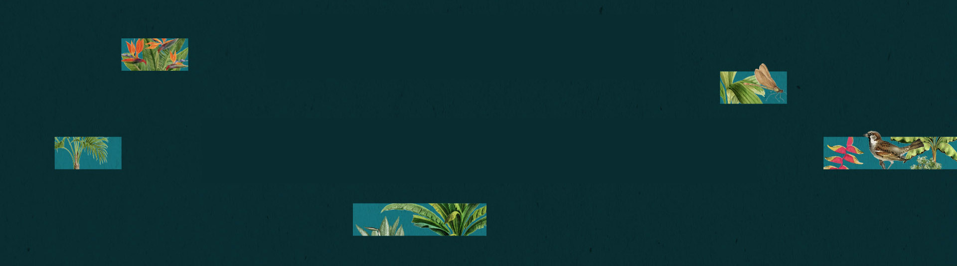 Rising Paradise background